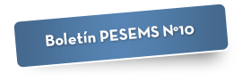 Boletín PESEMS N°10