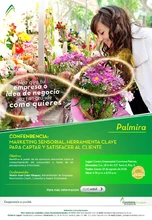 Palmira