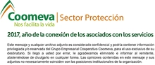 Firmas outlook 2017_Sector Protección