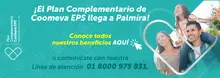 b_EPS_PAC-PALMIRA_FEB2019