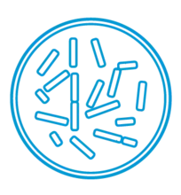 bacterias_laboratorio