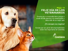 tar_Veterinarios