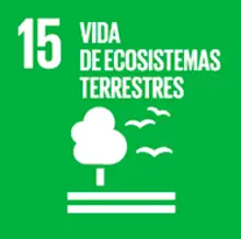 15 VIDA DE ECOSISTEMAS TERRESTRES