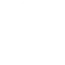 árbol