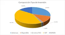 JUNIO FIC 180 Por Tipo de Inversión