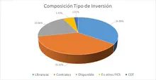 FIC 365 Por Tipo de Inversión