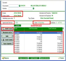 1. ¿Qué visualizo en la consulta general de facturación?