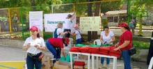 Voluntariado Cúcuta