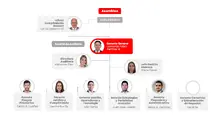 Estructura Organizacional