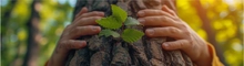 29 de abril, Día Mundial del Árbol