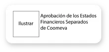 Aprobación de los Estados financieros separados