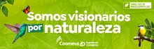 Somos visionarios por naturaleza