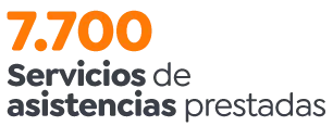 Servicios de  asistencias prestadas