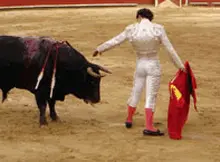 toros