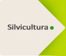 Induguadua_silvicutura_over