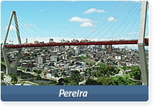 29590_pereira