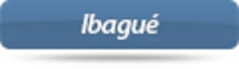 38429_ibague