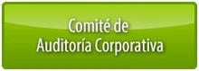 Comité_Auditoría corp