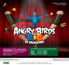 p_RYC_AngryBirds_JUL2014